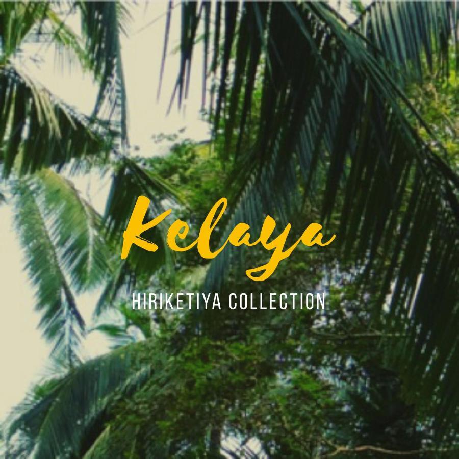 Kelaya At Hiriketiya Collection Hotel Dikwella Luaran gambar